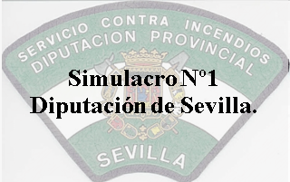 Diputación Sevilla – Simulacro Nº1(50 preguntas)